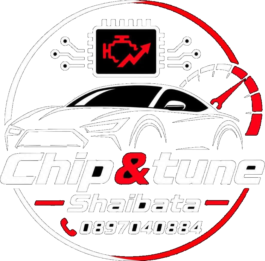 Chip & Tune Shaibata — кръгло лого